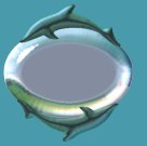 blank dolphin button